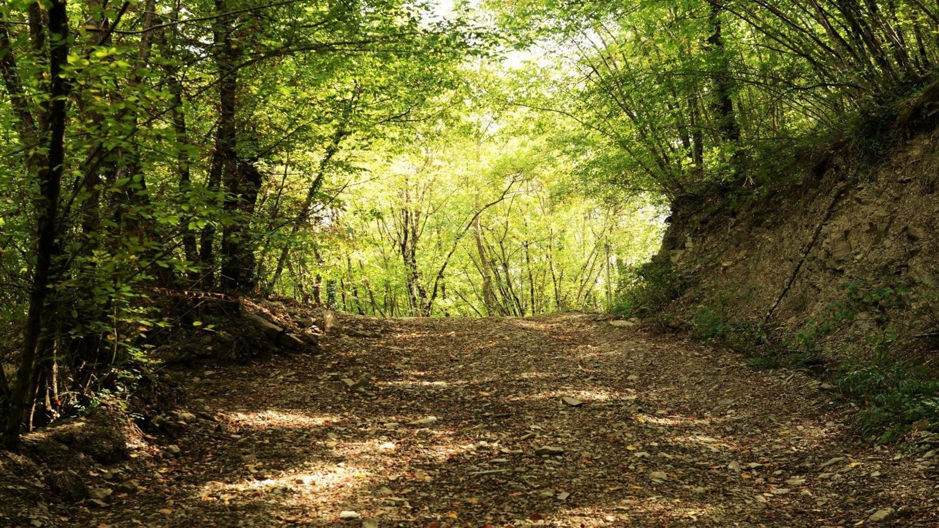 Baciano Azienda Agrituristico Venatoria 카폴로나 외부 사진